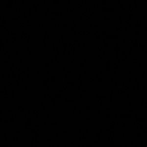 Meet your Posher, Suzanne